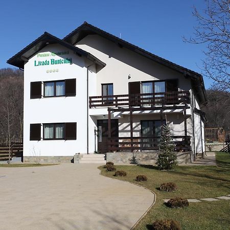 Pensiunea Livada Bunicului Stanesti  Exterior foto