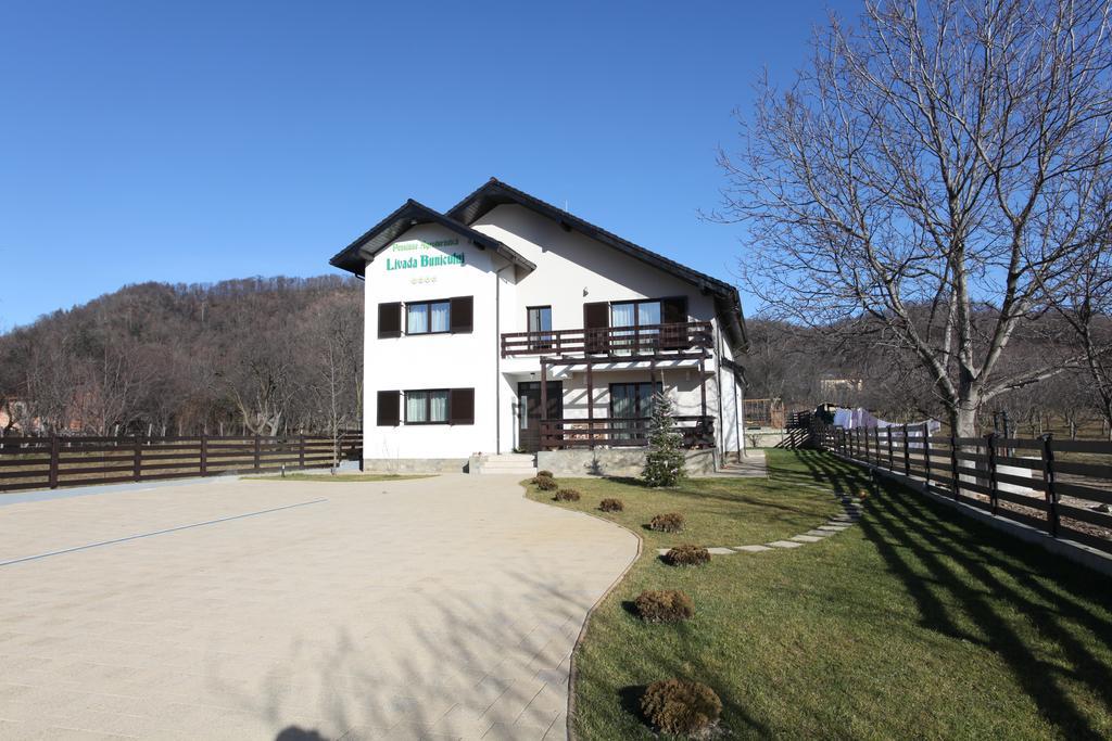 Pensiunea Livada Bunicului Stanesti  Exterior foto