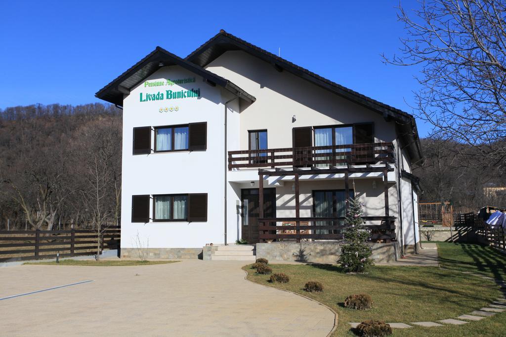 Pensiunea Livada Bunicului Stanesti  Exterior foto