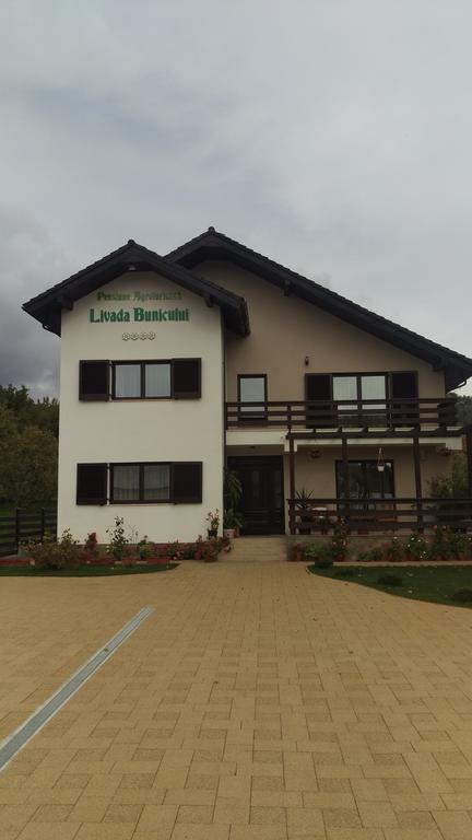 Pensiunea Livada Bunicului Stanesti  Exterior foto