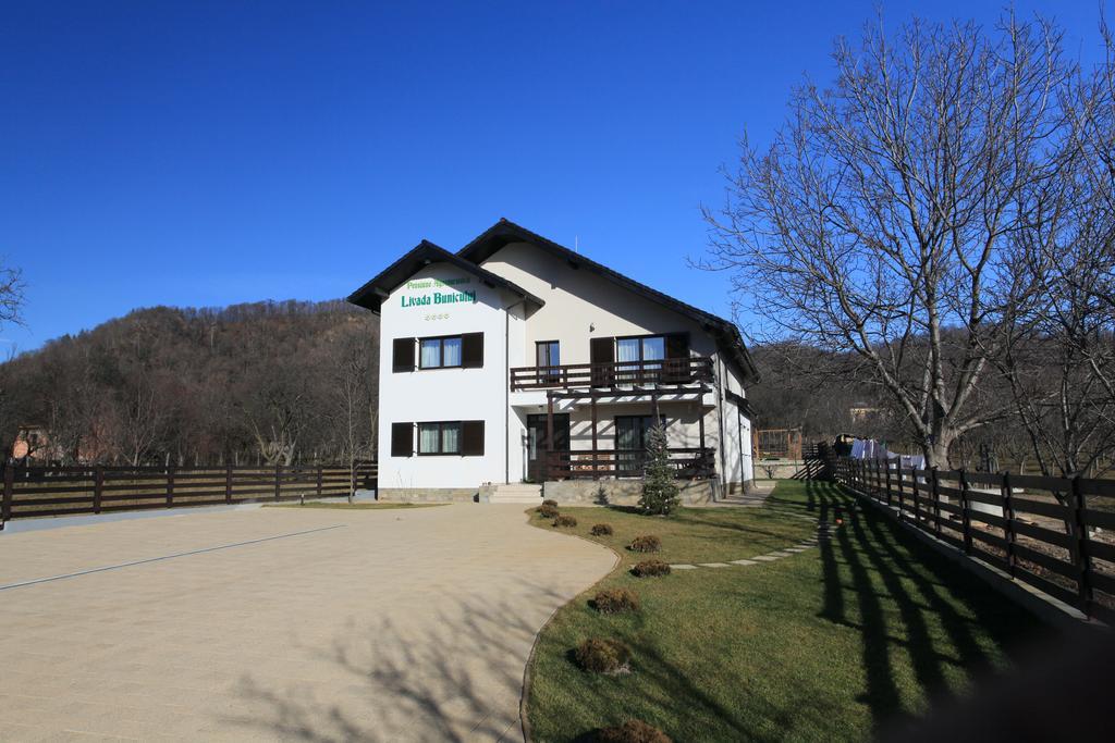 Pensiunea Livada Bunicului Stanesti  Exterior foto